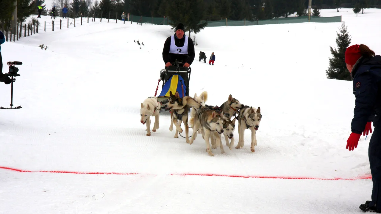 GALERIE FOTO Concurs de sănii trase de Husky şi Malamut de Alaska, în Pasul Tihuţa