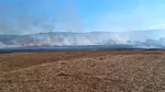 Incendiu de vegetație uscată în județul Vaslui. Au ars aproximativ 50 de hectare