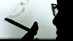 Imaginile înscrise pe pachetele de ţigări nu îi ajută pe fumători să renunţe la viciu