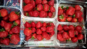 Căpşuni într-un solar la 2 metri sub pământ. Afacerea unui român care a lucrat 10 ani ca muncitor în agricultură în Spania