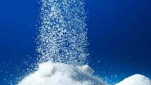 România mai acoperă astăzi doar circa 23% din consumul de zahăr din producţia internă. Cultivatorii de sfeclă de zahăr: Trebuie să investim în irigaţii pentru a menţine producţia