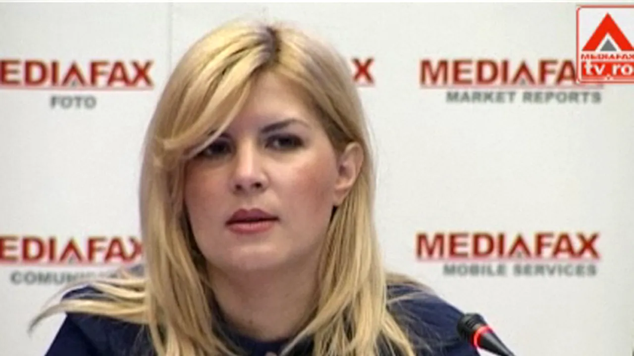 Udrea: Ministerul Dezvoltării trebuie să deţină controlul proiectelor pe care le finanţează