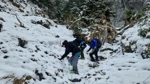 Doi turiști blocați într-o zonă greu accesibilă din Masivul Piatra Craiului au fost salvați de jandarmii montani