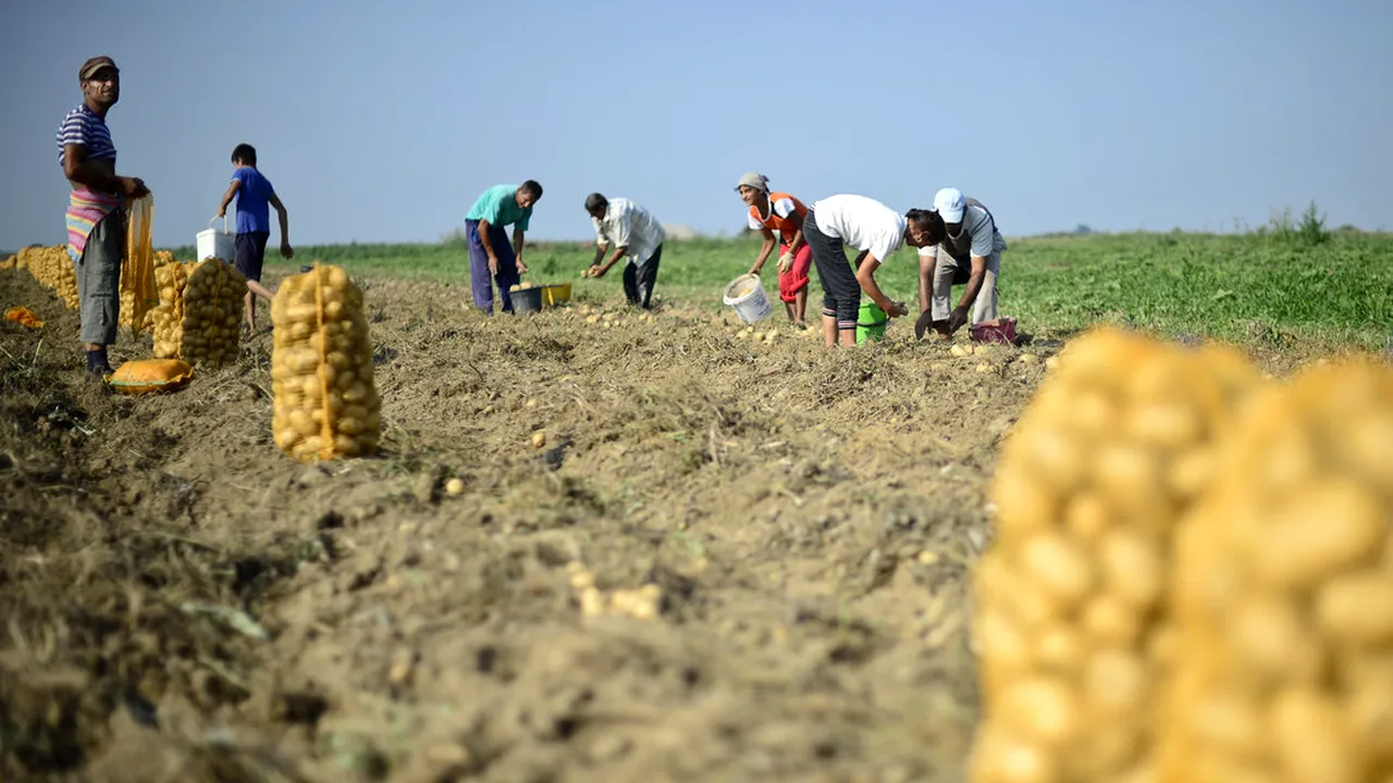 Bani pentru agricultură: APIA a început plăţile în avans pentru campania 2022