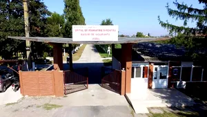 Prisoner admitted to psychiatric hospital in Timiș County escaped in employee's car