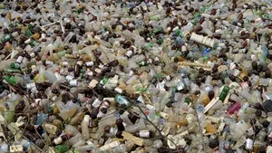 Un australian a rugat autorităţile să îl lase să-şi caute în gunoi bijuteriile de 37.000 de euro