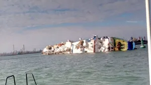 Cazul miilor de oi scufundate în Marea Neagră. ISU anunţă câte animale au fost salvate. Intervenţiile, suspendate din cauza vremii