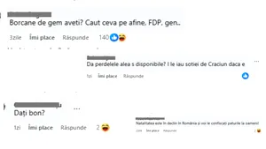 ANAF a scos la vânzare un pat de frasin. Postarea a strâns sute de comentarii ironice