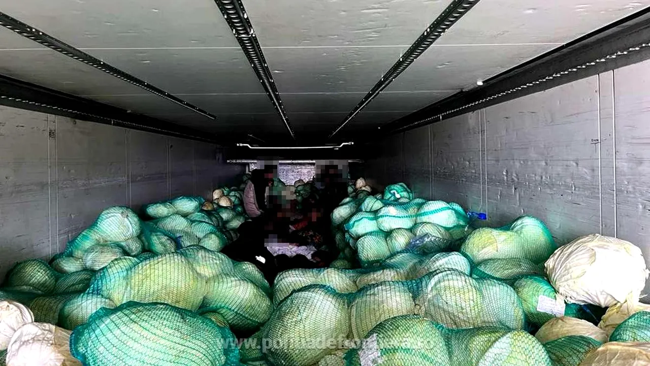 Giurgiu: 28 de sirieni găsiţi ascunşi într-un camion încărcat cu varză