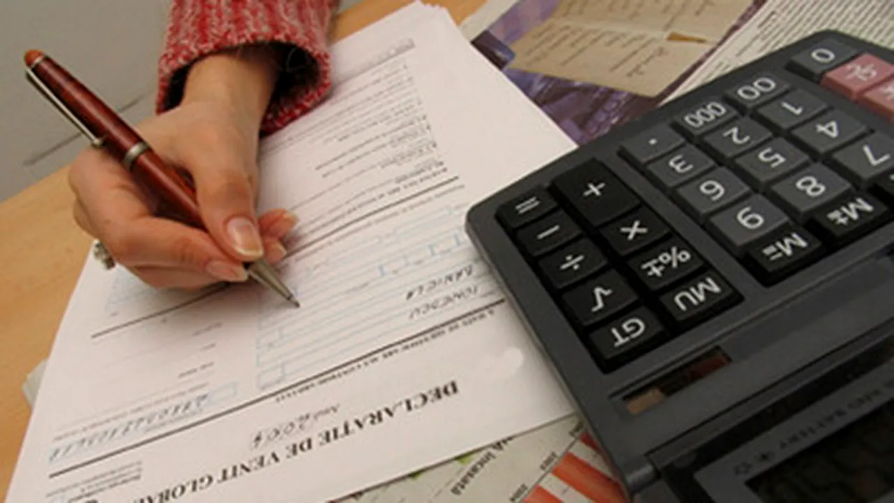 Romania To Have Sole Online Financial Statement For Cos In 2011 - PM