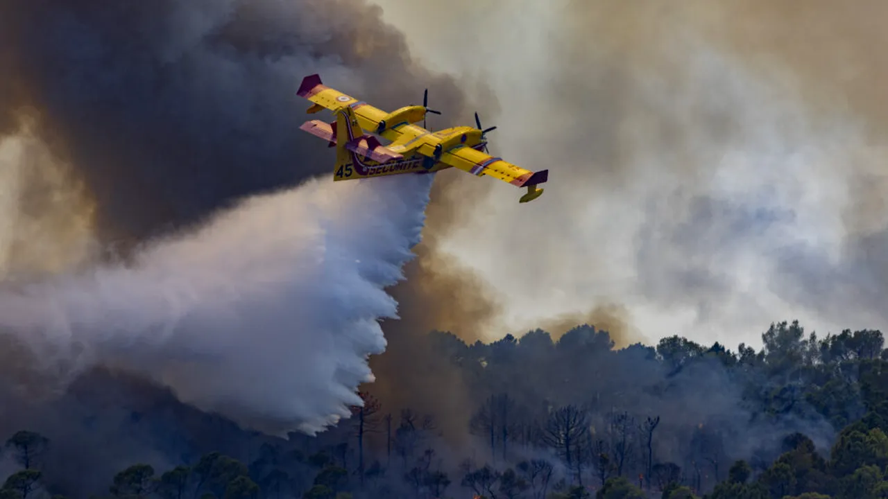 Numărul incendiilor de vegetație a crescut cu 57% în Europa în doar patru ani. Avertismentul OMS