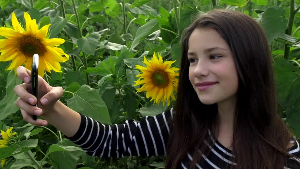 Accesul pe un teren pitoresc, cultivat cu floarea-soarelui, a fost INTERZIS din cauza invaziei amatorilor de selfie-uri, care au creat haos