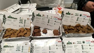 GALERIE FOTO Chipsuri din mere, prune trase în ciocolată sau umplute cu nucă, la expoziţia Fabricat în Moldova