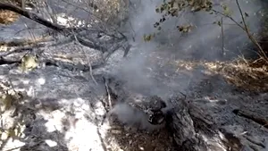 Un incendiu de vegetație a amenințat mănăstirea Măgura