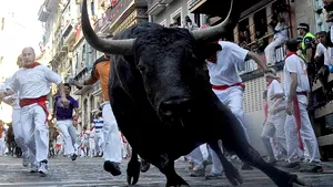 Cursa cu tauri de la Festivalul San Fermin: Cinci persoane au fost rănite, după ce au fost împunse cu coarnele | VIDEO