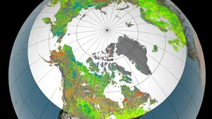 Zonele polare ale Terrei au început să înverzească. Imaginea care arată cum se schimbă anotimpurile din cauza încălzirii globale