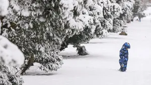 Centrul de Coordonare și Conducere a Intervenției București-Ilfov a fost activat