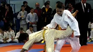 Senat: Tinerii sub 14 ani vor avea acces gratuit la competiţiile sportive interne