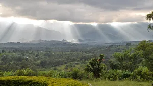 O nouă specie de maimuță cu buze portocalii a fost descoperită „ascunsă” în pădurile din Congo