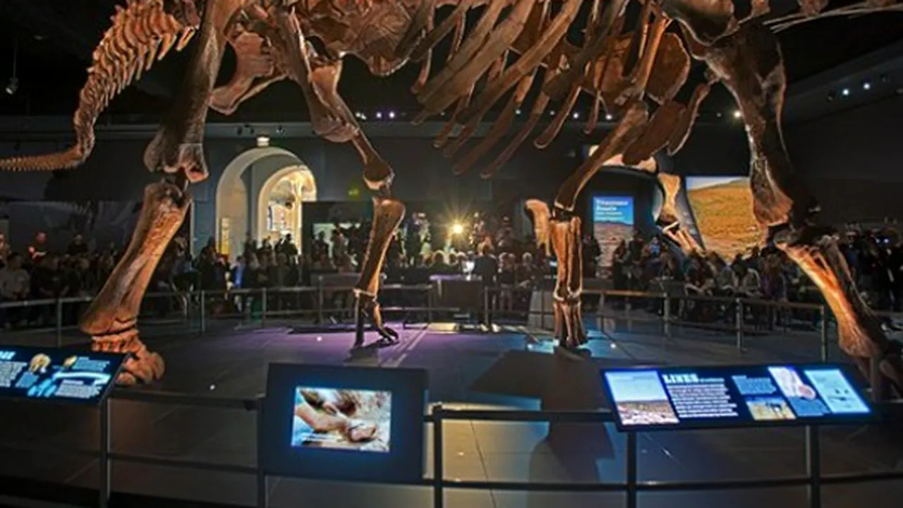 Bătrânul dinozaur Zarafasaura Oceanis nu va mai fi vândut la licitaţie