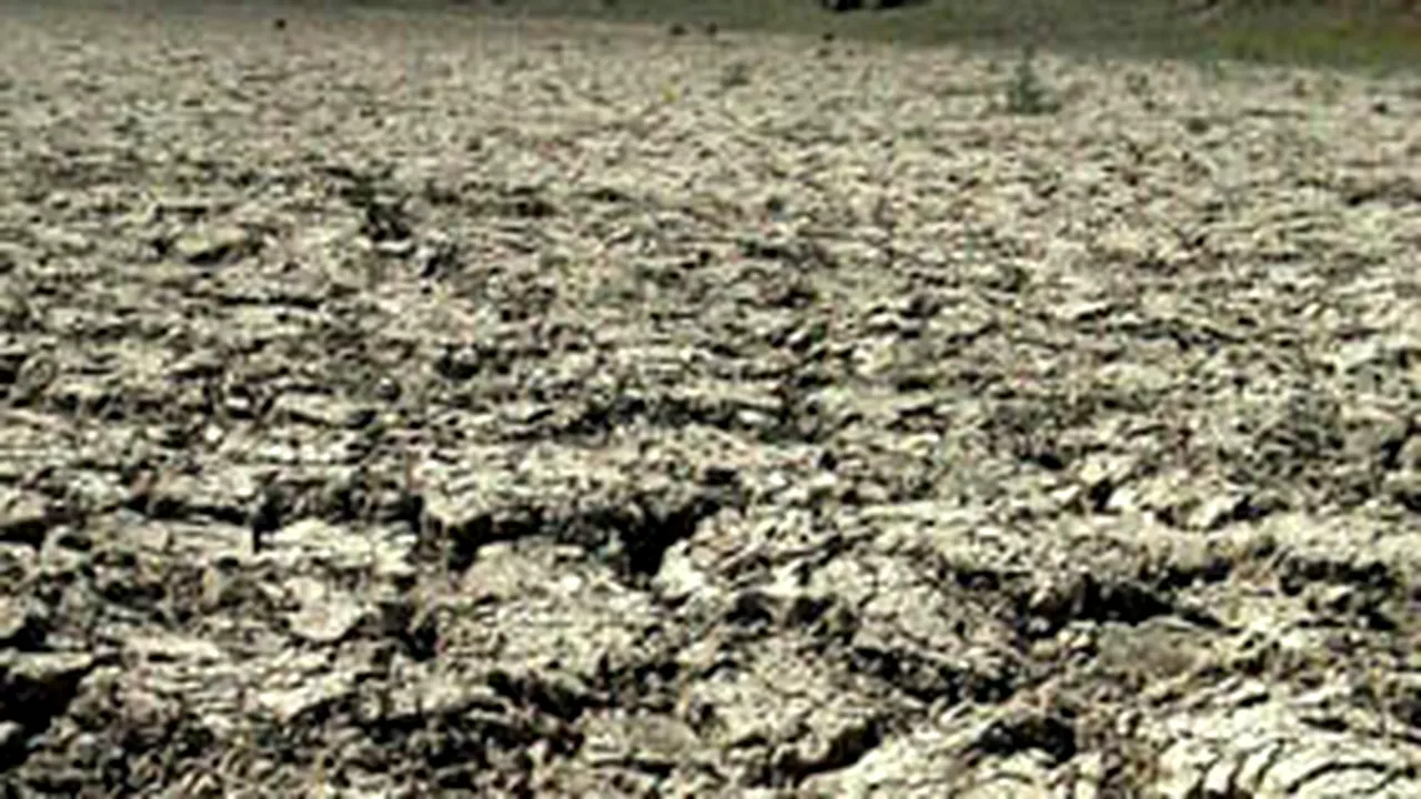 Drought To Hit Romania In ’08