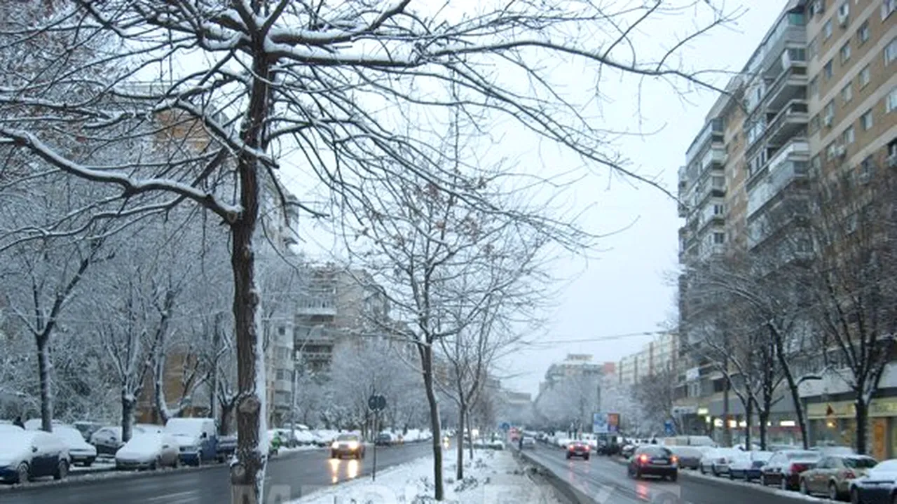 PRIMA NINSOARE în Bucureşti: Cum arată Capitala acoperită de prima zăpadă din această iarnă - GALERIE FOTO