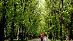 METEO | Cum va fi vremea în următoarele patru săptămâni. Prognoza emisă de ANM