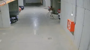 O tânără din Capitală a furat o bicicletă, apoi s-a întors să fure şi cuptorul de pizza