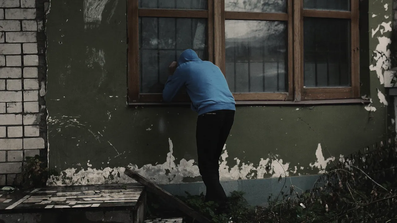 Grupare de români care a furat aproape o jumătate de milion de euro de la firme din Franţa, destructurată. Modul INGENIOS în care hoţii intrau în clădiri