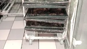 ANPC a închis o fabrică de pâine. Piedone: inconştienţa unora poate dăuna sănătăţii oamenilor