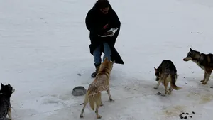 Van Damme, pentru a doua oară la Bâlea Lac: „În România am primit multă dragoste” - FOTO & VIDEO 