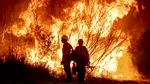 Incendiile de vegetaţie provoacă evacuări şi stare de urgenţă în Carolina de Nord