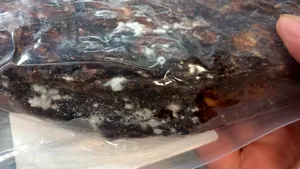 De la carne cu mucegai la butelii corodate: lista neregulilor descoperite la controale în toată țara