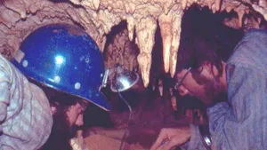 Trei noi specii de mamifere, descoperite în Insulele Cayman după ce un grup de cercetători a găsit oase într-un loc NEAŞTEPTAT