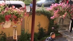 Asistenta maternală care a avut grijă de fetiţa luată din casă de mascaţi, la Baia de Aramă, spune că nu a refuzat adopţia