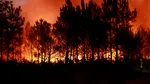 Reportaj AP: Un iepure și 220.000 de francezi evacuați. O mamă și fiica ei au fugit din calea flăcărilor