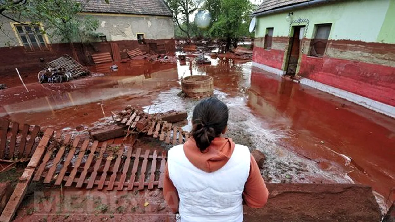 Expert: Fluxul toxic rezultat după accidentul din Ungaria, fără efecte asupra ecosistemului Dunării