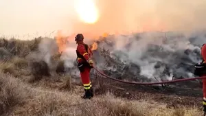 Majoritatea celor 12 victime ale incendiilor din Spania sunt cetățeni străini