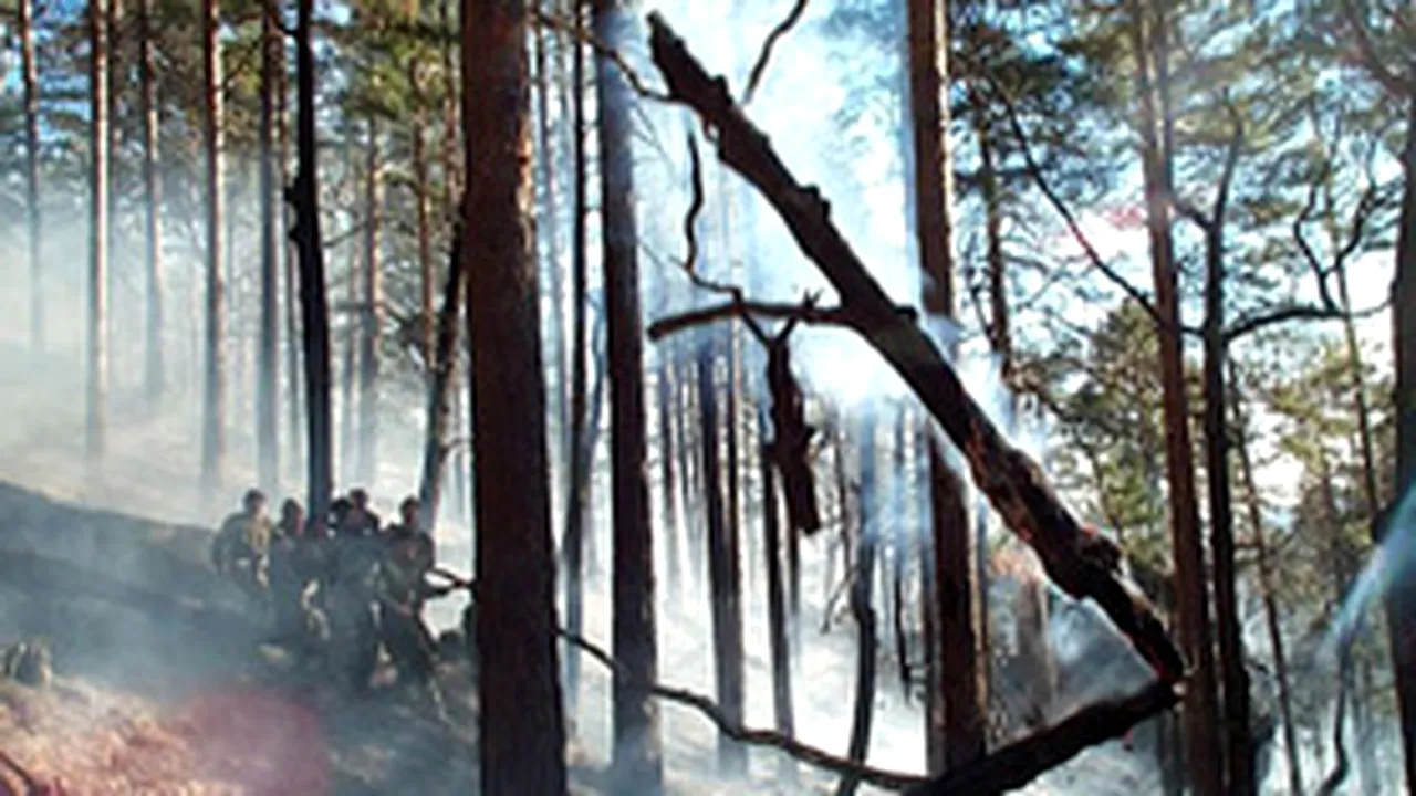 Autorul incendiului de pădure de la Ciucsângeorgiu, prins de poliţişti