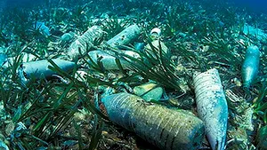 Previziuni SUMBRE: Masa deşeurilor plastice din oceanul planetar riscă să o depăşească pe cea a peştilor, în 2050 - VIDEO