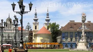 Protest inedit cu zebre din hârtie, în miniatură, la Timişoara