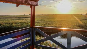 Pescuit în Deltă: o aventură de neuitat în sud-estul Europei (P)