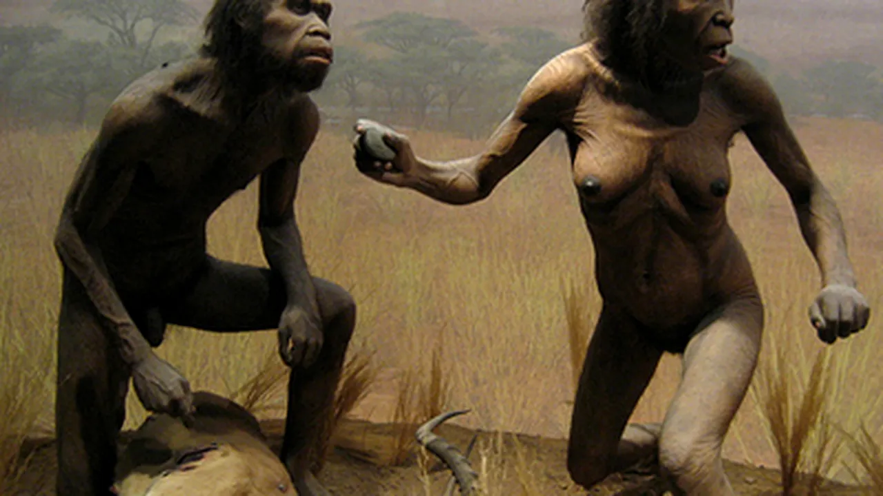 Strămoşii omului de acum 1,5 mil. de ani se deplasau la fel ca Homo Sapiens