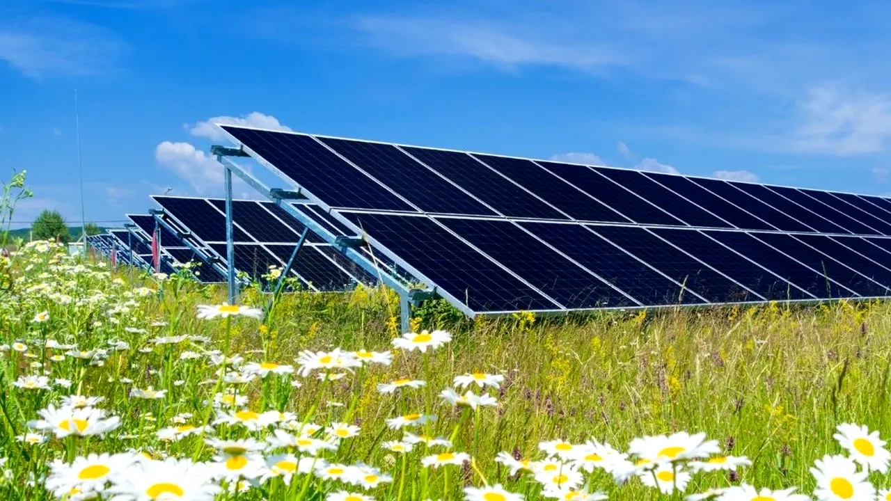 INEDIT O şcoală din Barcelona şi locuitorii au creat o comunitate de energie solară, pentru a reduce consumul de electricitate