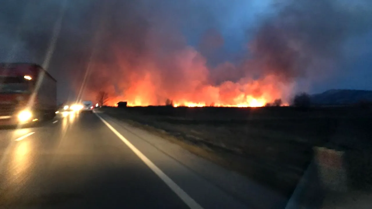 Trafic blocat pe DN1, la ieşirea din Făgăraş către Sibiu, din cauza unui puternic incendiu de vegetaţie | FOTO