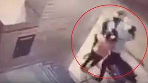 Momentul în care o fetiţă pocneşte şi pune pe fugă un hoţ care a încercat să fure scuterul mamei sale. Curajul copilei face înconjurul lumii | VIDEO