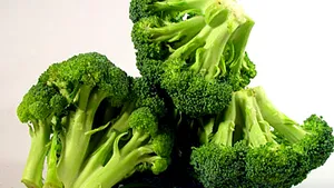 Brocoli reduce riscul de apariţie a cancerului pulmonar la fumători