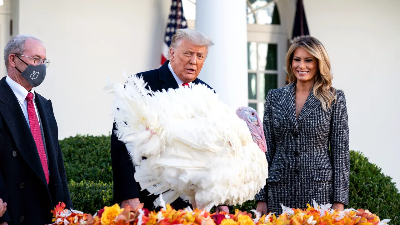 Donald Trump a graţiat un...curcan. Liderul de la Casa Albă a participat la ceremonia de Ziua Recunoştinţei