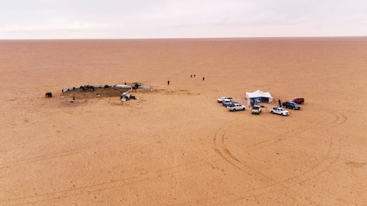 Alei vechi de 4.500 de ani, mărginite cu morminte antice, au fost descoperite în Arabia Saudită