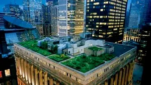 Ultimele tendinţe în arhitectură: Cum înverzesc companiile acoperişurile României şi cât costă o astfel de fiţă